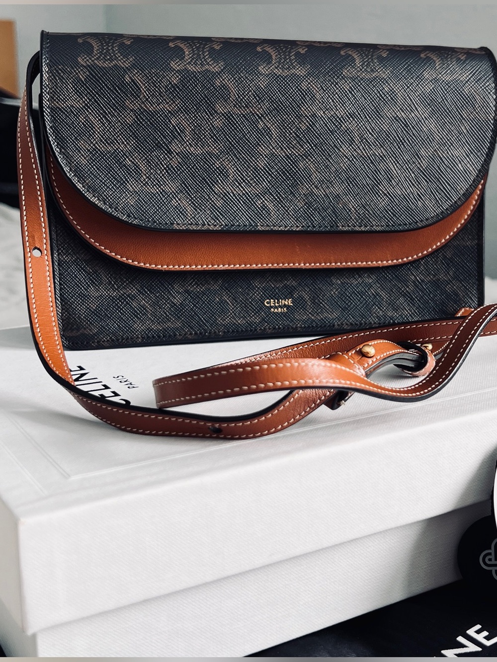 Celine Triomphe Canvas with Lambskin Leather wallet on chain